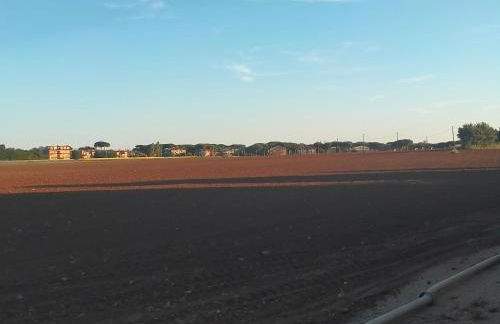 Al Vecchio Casale della Posta - Foto 13