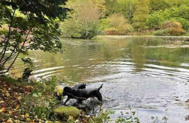 Woodland Cottage Charleton Estate - Foto 14