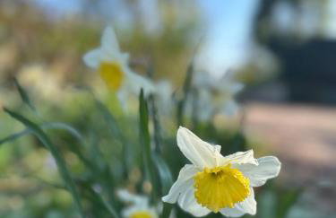 The Granary, Upper Largo - Foto 15