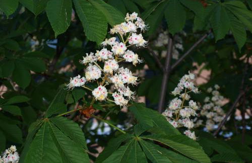 Apartamentos Turísticos La Peña - Foto 25