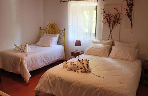 Quinta da Ti Júlia - Foto 16