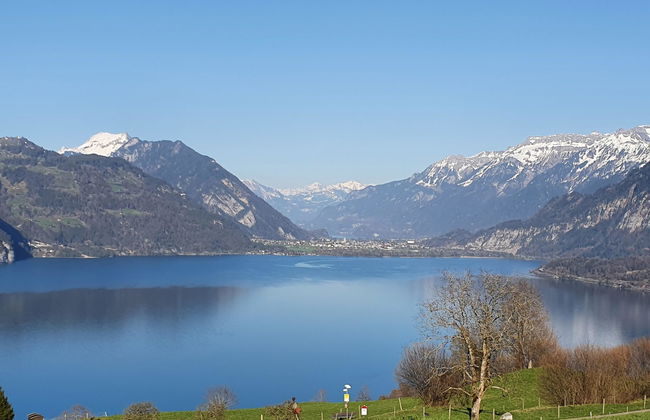 Panoramaferienwohnung Waldkircher - Foto 25