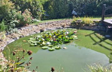 Ferienwohnung Fichtelwald - Foto 47