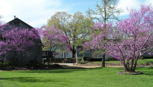 Lake Front King Suite: Full Kitchen-Lakefront Deck- Shared Hot Tub - Foto 2