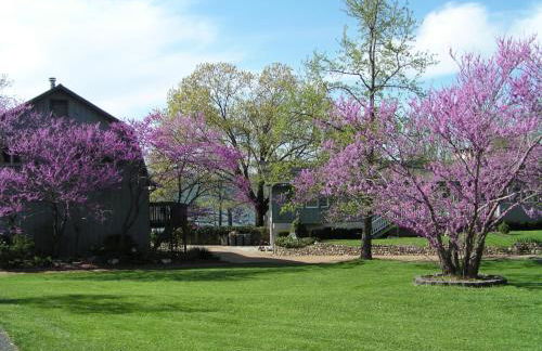Lake Front King Suite: Full Kitchen-Lakefront Deck- Shared Hot Tub - Foto 2