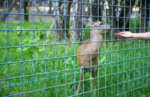 Mountain Escape house with indoor pool - Foto 55