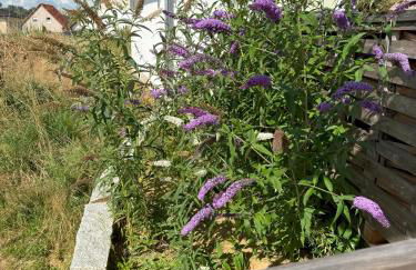 Ferienhaus Vogelnest - Foto 40