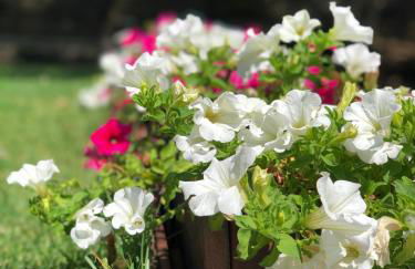 Casa rural en plena naturaleza Lic UVTR1524 - Photo 30