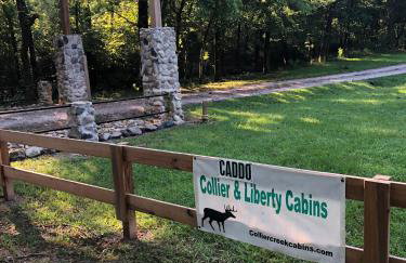 Collier Cabin on Collier Creek - Foto 49