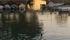 Antonella Gardalake 2 - Foto 4