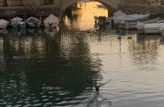 Antonella Gardalake 2 - Foto 4