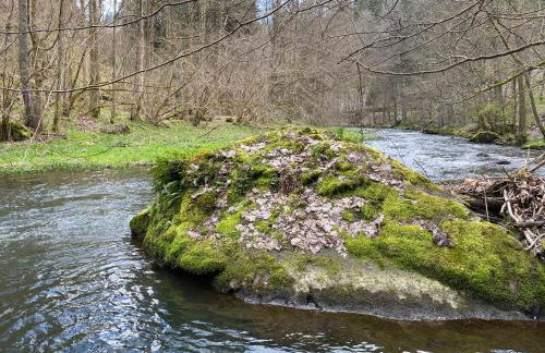 Ferienwohnung Sternenhimmel - Foto 25