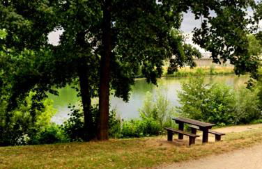 STUDIOS La Varenne Saint Maur entre PARIS ET DISNEYLAND - Foto 23