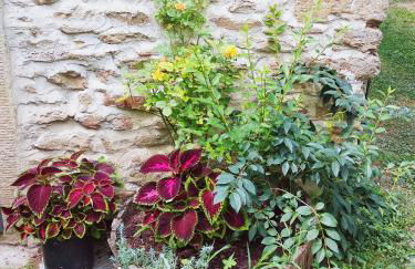 Agriturismo Borgo Ornina - Foto 69