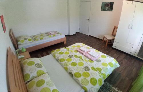 Apartment Gradina - Foto 18