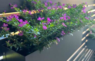 Ferienwohnung Olli Koch - Foto 49