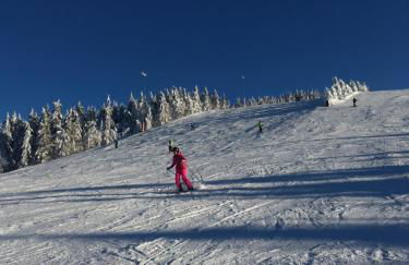 Blackforest Apartment - Foto 49