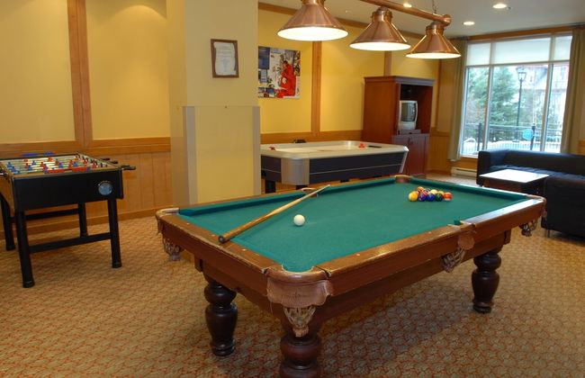 Sommet des Neiges - Foto 37