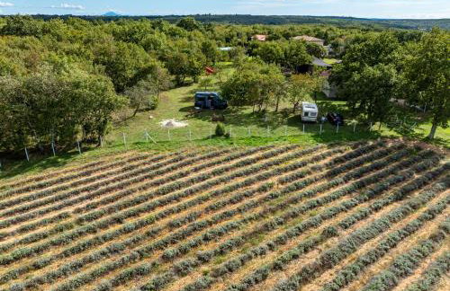 Villa Paronich - Foto 56