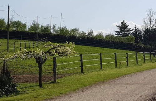Azienda Agricola Cascina Monticone - Foto 30