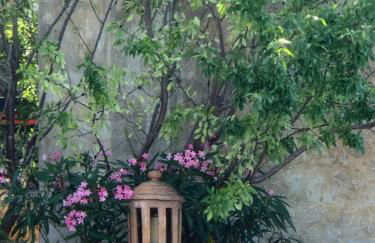 Arena Bianca - Foto 48