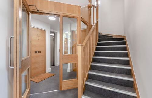 Forest Acorn - Foto 17