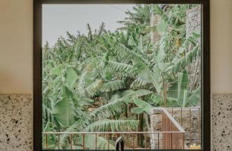 Mango House - Foto 9