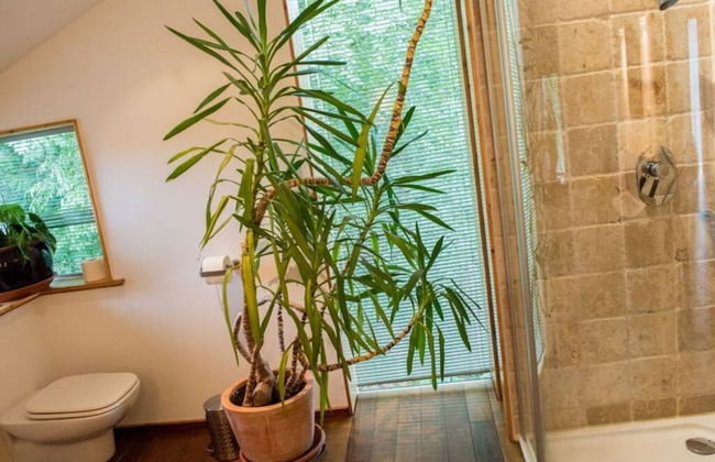 Huis aan het Park - Foto 10