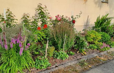 Ferienwohnung Renner - Foto 36