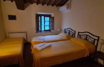 Frantoio di Corsanico - Foto 72