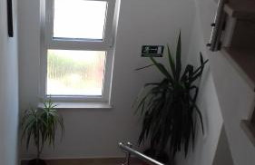 Apartments Vucica, Sevid - Foto 64