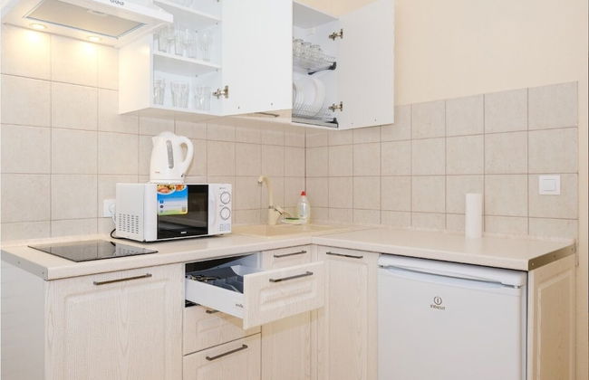 Apartment Petrovskiye on Sovetskaya 90 - Foto 43