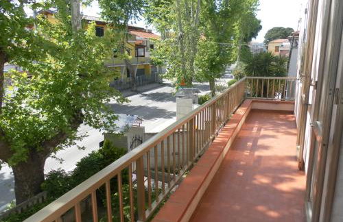 Donna Rosa - Foto 15