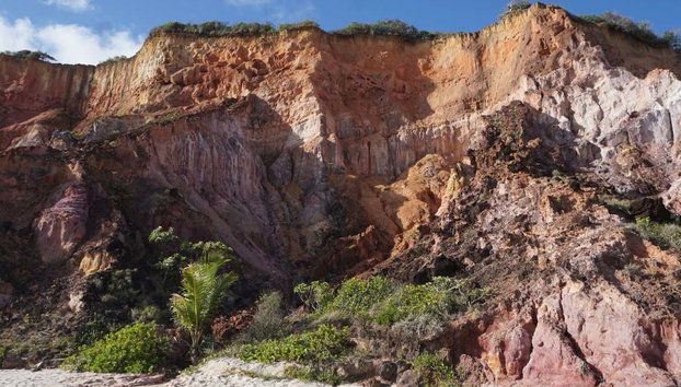 Carapibus, Tabatinga & Bela Beach Day Trip - Photo 5