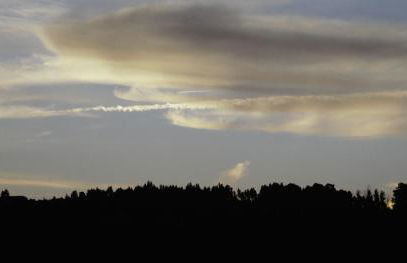 Quinta de Lourosa - Foto 51