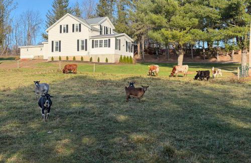 Charming Farmhouse Retreat - Foto 25