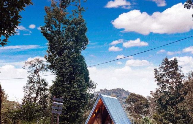 Tentgram 900 Kandi - Foto 14