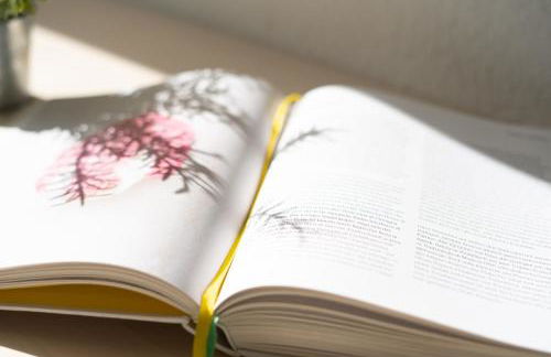 Ferienwohnung Heber - Wulfen - Foto 16