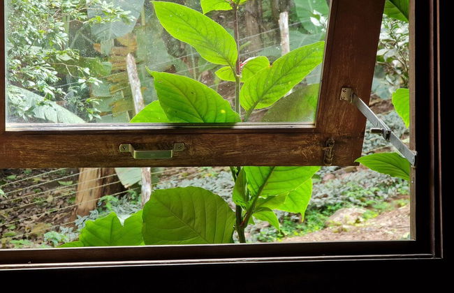 Casa na Serra de Mulungu por Carpediem - Foto 62