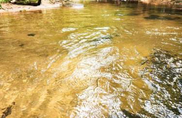 Sítio do Sossego - Foto 38