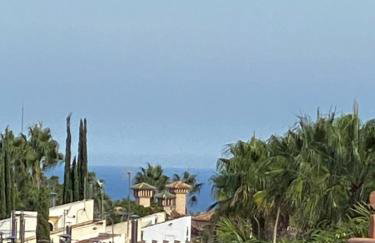 Penthouse Palapagolf - Foto 26