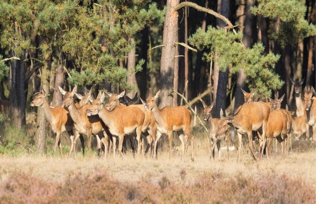 Chalet Near Trails & Town - Foto 41