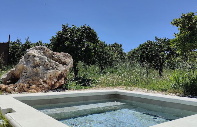 AgriBarocco - Photo 12