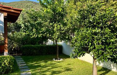 Reven Resort - Foto 18