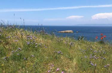 Koralia Summer House - Foto 16