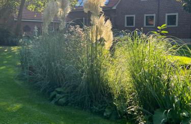 Dreckerhook, oasis to slow down! - Foto 30