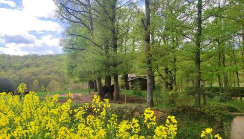 Casa Can Boix - Foto 5