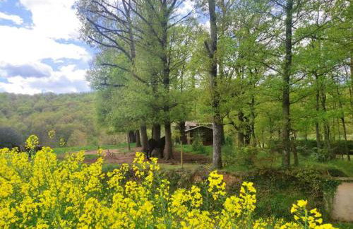 Casa Can Boix - Foto 5