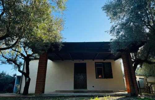 La Perla di Dea - Foto 11