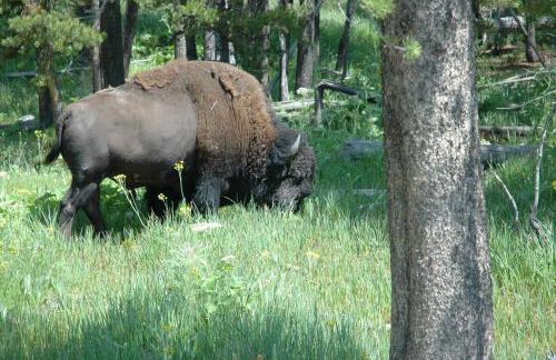 Beautiful Driggs Townhome with Views and Hot Tub - Foto 28